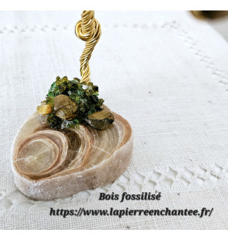 Arbre de vie en Œil de tigre sur Bois fossilisé.