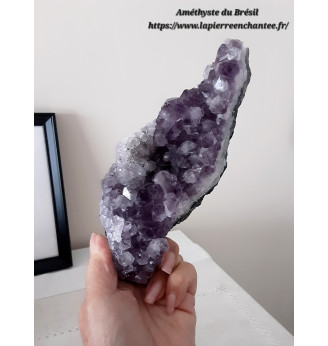 Améthyste, druse cristallisée du Brésil.