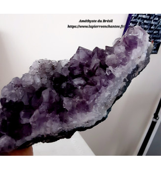 Améthyste, druse cristallisée du Brésil.