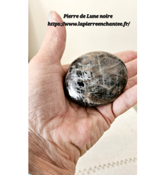 Pierre de Lune noire, galet poli  .