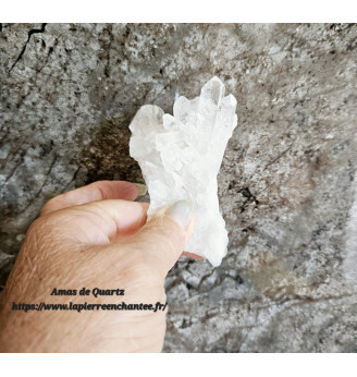 Amas de Quartz, druse de Cristal.