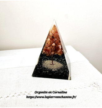 Orgonite Arbre de vie en Cornaline et Tourmaline noire.