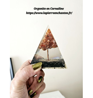 Orgonite Arbre de vie en Cornaline et Tourmaline noire.