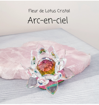 Fleur de Lotus Cristal  Arc en ciel .