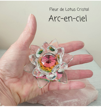 Fleur de Lotus Cristal  Arc en ciel .
