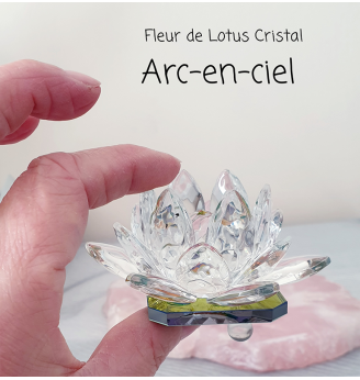 Fleur de Lotus Cristal  Arc en ciel .