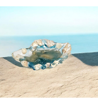 Coupelle coquille en résine – Esprit mer et  coquillage .