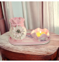 Ensemble vase et photophore...