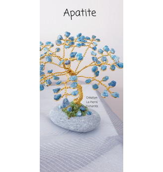 Arbre de vie Apatite brute sur son galet naturel.