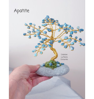 Arbre de vie Apatite brute sur son galet naturel.