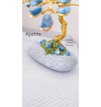 Arbre de vie Apatite brute sur son galet naturel.