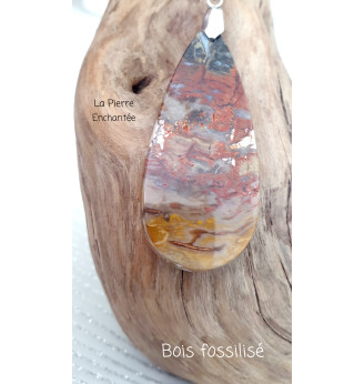 Pendentif en Bois fossilisé   .