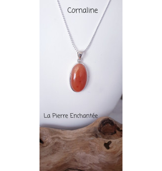 Pendentif en Cornaline et Argent 925 .